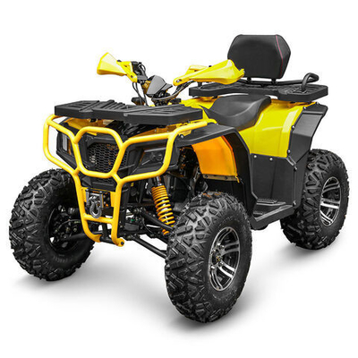 250cc 가솔린 ATV 쿼드바이크 버기 UTV 200cc 오프로드 오토바이