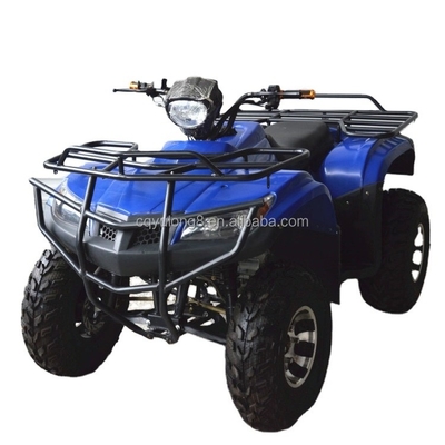성인용 전기 ATV 2자리 산악인 200cc 250cc 150cc 전면 차량