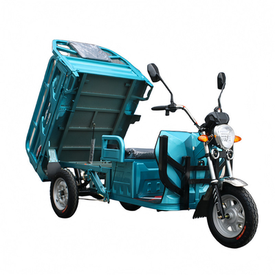 1000W/1200W 60V 전기 삼륜자동차 가족 화물 운송을위한 완벽한 솔루션