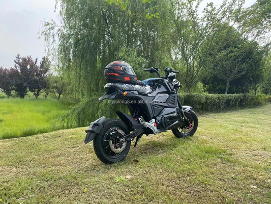 전기 오토바일 납 없는 산 충전자 성인 전기 오토바일 1500W 모터 속도 81kmph