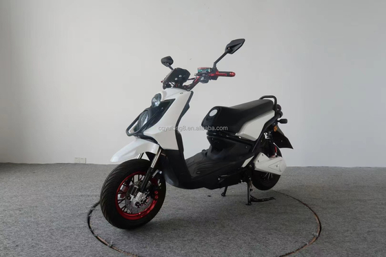 300W 500W 800W DC 브러시리스 모터 디스크 브레이크와 10 인치 타이어와 함께 전기 모터사이클