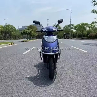 전기 자전거 최대 속도 40-60km/h 모터 파워 500W/1000W/1500W/2000W 브러시리스 모터