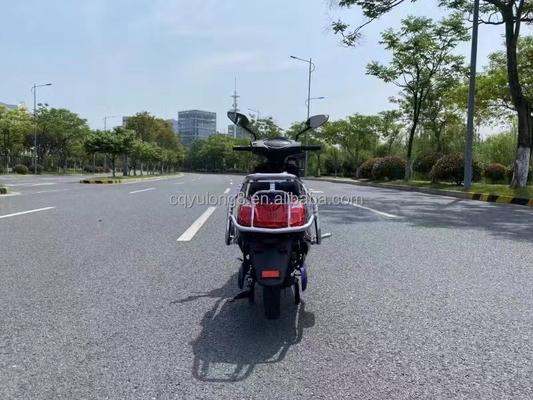 전기 자전거 최대 속도 40-60km/h 모터 파워 500W/1000W/1500W/2000W 브러시리스 모터