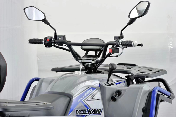 10인치 타이어 사이즈 110cc 또는 125cc ATV 성인용 4륜자동차 최대 속도 50-75Km/h