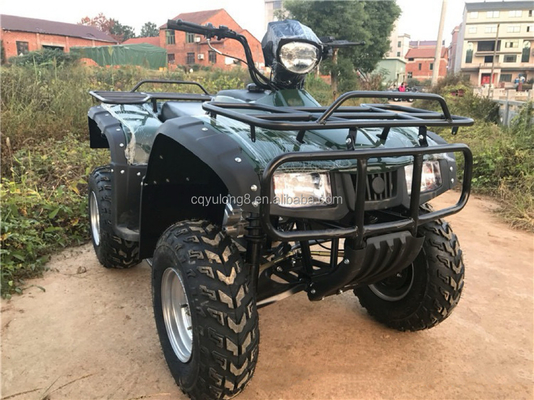 CE 인증 200cc 균형 막대기 엔진 자전거 ATV 쿼드 800W 모터와 60V 전압