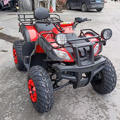 전기 시작 250cc 쿼드 바이크 500W 모터와 축동 전지구 디자인