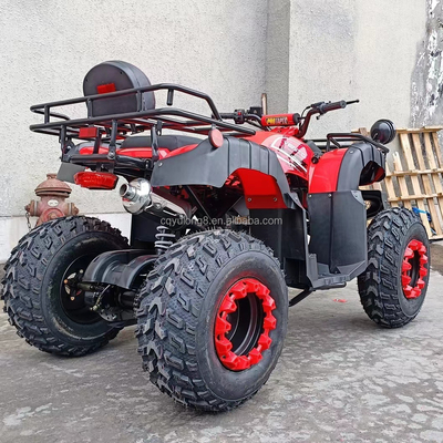 전기 시작 250cc 쿼드 바이크 500W 모터와 축동 전지구 디자인