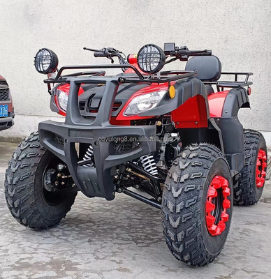 전기 시작 250cc 쿼드 바이크 500W 모터와 축동 전지구 디자인