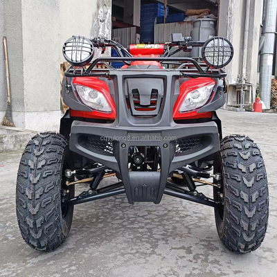 전기 시작 250cc 쿼드 바이크 500W 모터와 축동 전지구 디자인