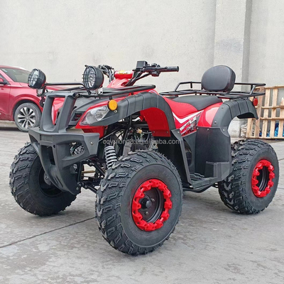 전기 시작 250cc 쿼드 바이크 500W 모터와 축동 전지구 디자인