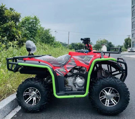 60V 배터리 230cc 독립식 서스펜션 전지형 엔터테인먼트용 4륜 ATV