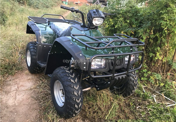 4x4 버기 모터 ATV UTV 200cc 성인용 자동 변속기 최대 속도 80km/h