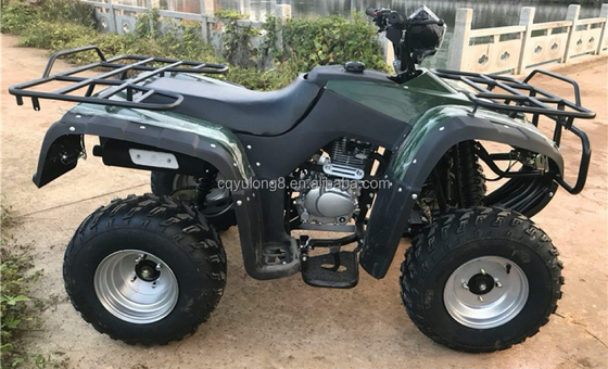 4x4 버기 모터 ATV UTV 200cc 성인용 자동 변속기 최대 속도 80km/h