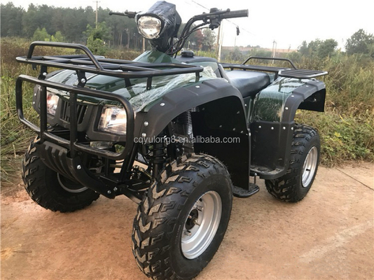 4x4 버기 모터 ATV UTV 200cc 성인용 자동 변속기 최대 속도 80km/h