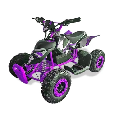 36V 500W 전기 미니 ATV 모터 쿼드 자전거 어린이 및 성인용 엔진 타입 2박정