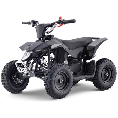 500W 전기 ATV 삼륜자전거 모터사이클 앞 및 뒷 디스크 브레이크 시스템