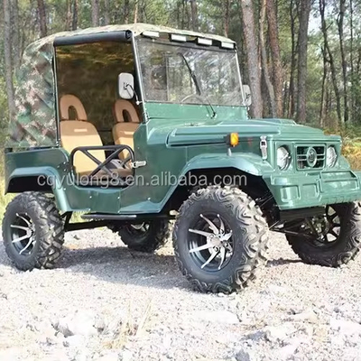 300CC 4x4 UTV 가스 UTV 2 좌석 UTV 부기 성인용 쿼드 자전거 최대 속도 50-75Km/h