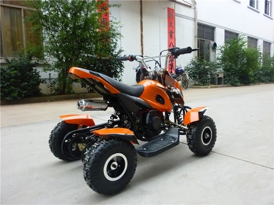 4x4 2WD/4WD 전지전용 차량 어린이용 쿼드 ATV 성인 49cc 200cc 300cc 샤프트 드라이브 자전거