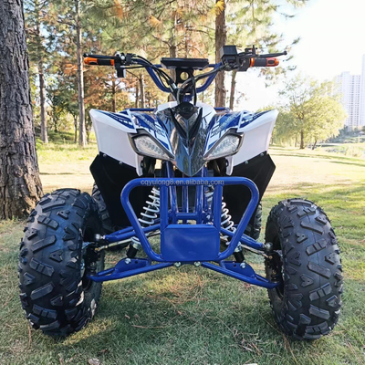 용량 400~1000kg 편리한 전기 4륜 자전거 800W 해변 차량