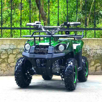 500-800W 샤프트 드라이브 모터 전기 미니 ATV 버기 4 휠 쿼드 자전거 어린이 및 성인
