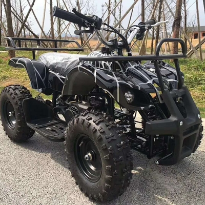 판매 49cc 125cc 200cc ATV 4x4 전장 차량 쿼드 바이크 바퀴 배지 1000-1400mm