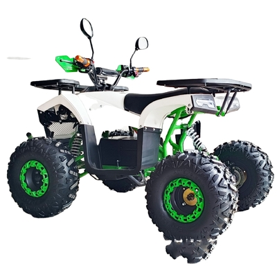 400-1000kg 부하 용량 800W 1000W 쿼드 바이크 전기 ATV 어린이 및 성인