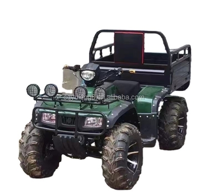 오프로드 사륜 모터사이클 화물 ATV UTV 100-200kg의 유료 화물 용량
