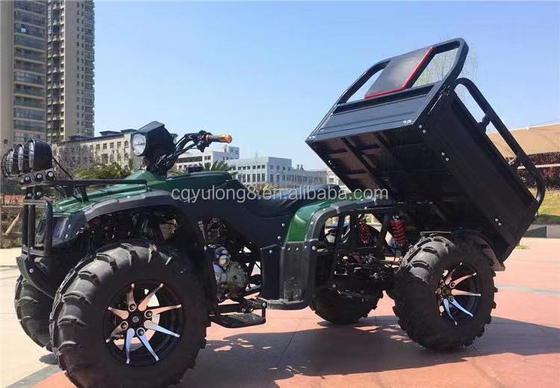 오프로드 사륜 모터사이클 화물 ATV UTV 100-200kg의 유료 화물 용량