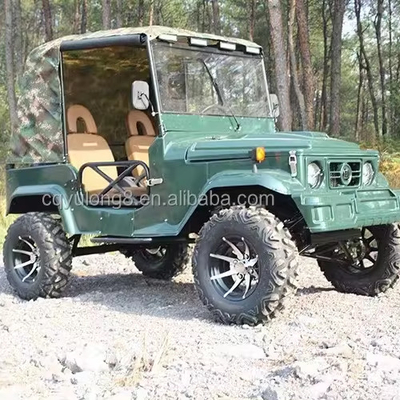 300CC 4륜 UTV 가스 2석 UTV 4x4 부기 자동차 모토 쿼드 자전거 오프로드 차량 4x4 ATV 성인용