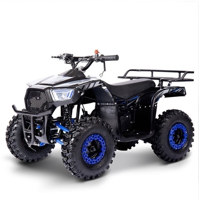연료 전기 미니 ATV 49cc 체인 모터 파워 2WD 드라이브 어린이 모험