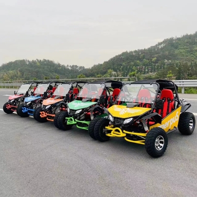 MOTO 200/250/300cc CVT UTV 성인 운전용 덩어리 버그 2WD / 4WD MOTO