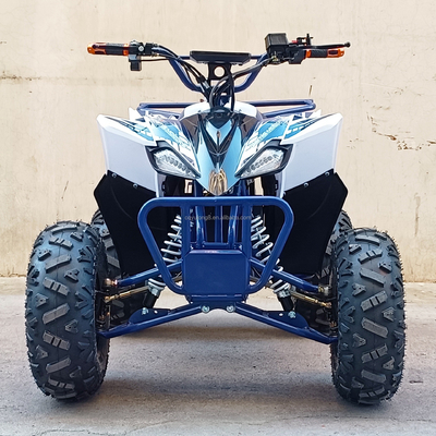 500-800W 60V 샤프트 드라이브 스포츠 4륜 ATV 전기 쿼드 자전거