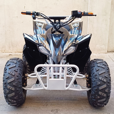 500-800W 60V 샤프트 드라이브 스포츠 4륜 ATV 전기 쿼드 자전거