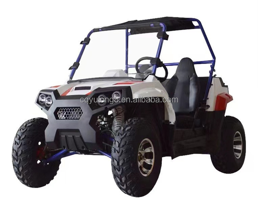 1 실린더 1500W 2000W 사이드 바이 사이드 농장 전기 UTV 2 좌석과 차차 잠금