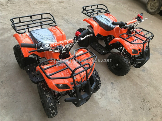 125cc 오프로드 ATV 쿼드 사이클, 커스터마이징 가능한 디자인 및 ≤10L 연료 탱크 용량