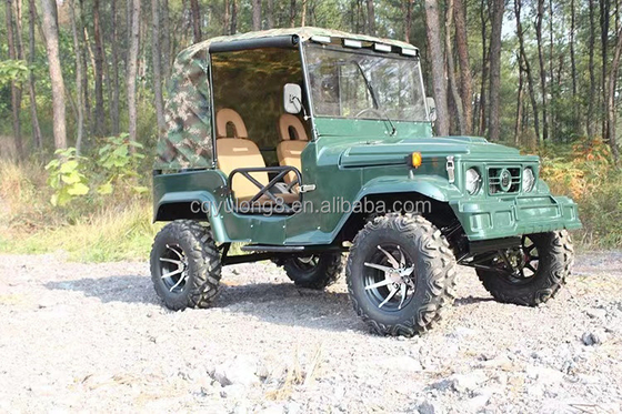 성인용 2석 200cc 300cc 샤프트 변속 시스템 2WD 4륜구동 부기 자동차 UTV 4x4 지프