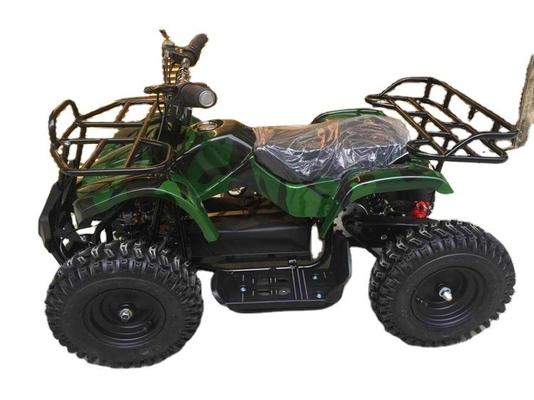 800 1000W 1 실린더 ATV 49cc 50cc 125cc 전지형 4륜 균형 셰프트 부기