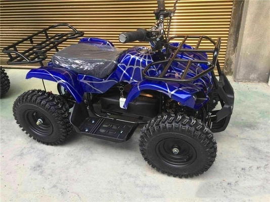 800 1000W 1 실린더 ATV 49cc 50cc 125cc 전지형 4륜 균형 셰프트 부기