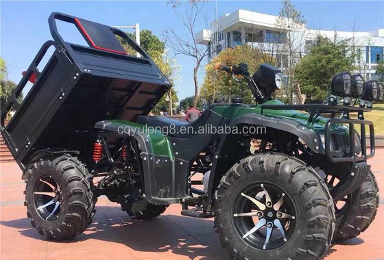 최대 속도 50-75Km/h 4타크 250CC 300CC ATV 4x4 버킷 쿼드 자전거 농장 버그 UTV