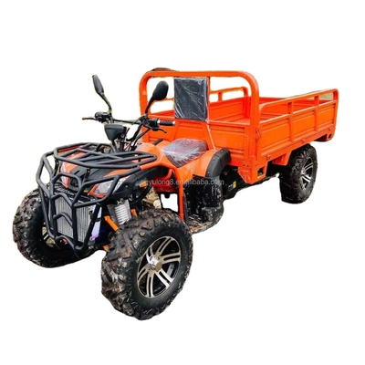 800 1000W 2 실린더 물 냉각 ATV 250CC 4X4 오프로드 바구니