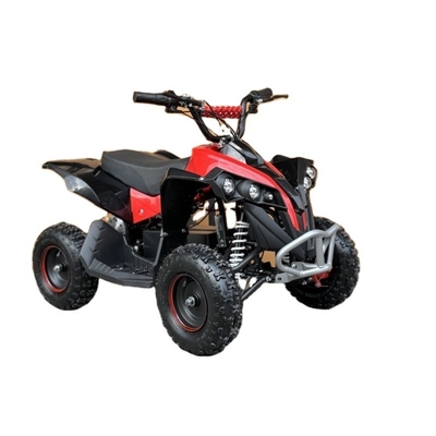 전기 ATV 36V 800W 48V 1000W 부기 쿼드 자전거 어린이 및 성인