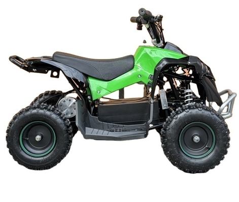 전기 ATV 36V 800W 48V 1000W 부기 쿼드 자전거 어린이 및 성인