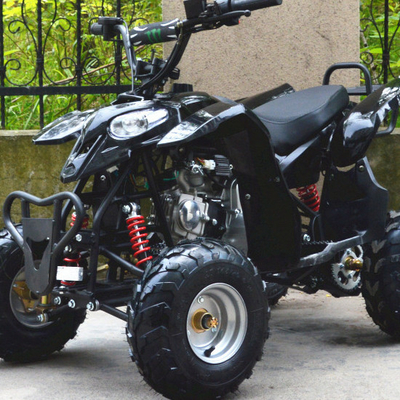 전기 ATV 4타크 110cc 125cc 150cc 200cc 사슬 회전