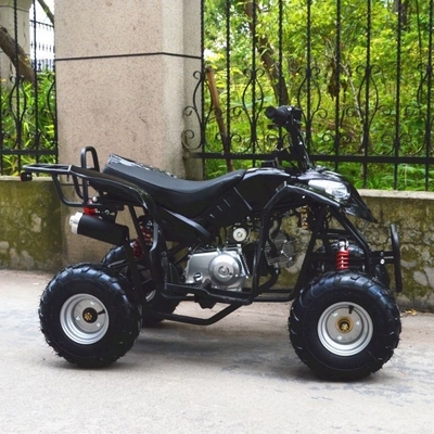 전기 ATV 4타크 110cc 125cc 150cc 200cc 사슬 회전