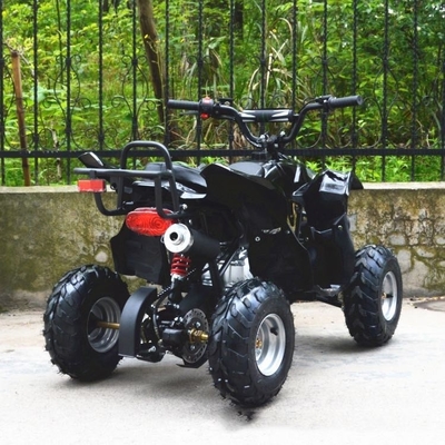 전기 ATV 4타크 110cc 125cc 150cc 200cc 사슬 회전