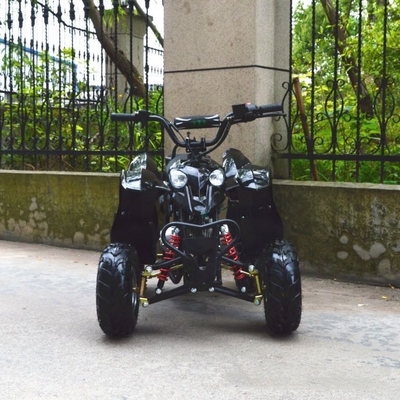 전기 ATV 4타크 110cc 125cc 150cc 200cc 사슬 회전