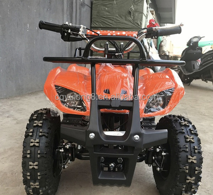 리틀 툴 500W 36V 전기 ATV 오프로드 사파리 모험에서 어린이 임대