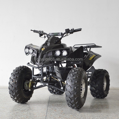 1000W 전기 ATV 셰프트 변속기와 앞 드럼 후드 드럼 브레이크 시스템