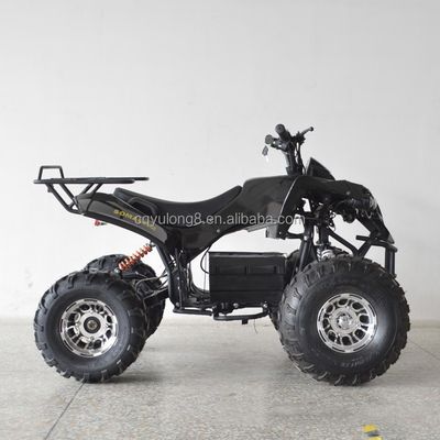 1000W 전기 ATV 셰프트 변속기와 앞 드럼 후드 드럼 브레이크 시스템