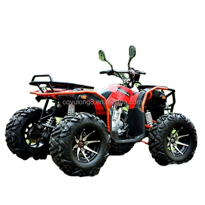 300mm 지평을 가진 성인 오프로드 ATV